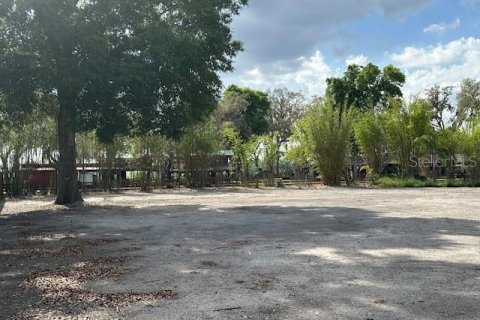 Land in Winter Haven, Florida № 1722739 - photo 3