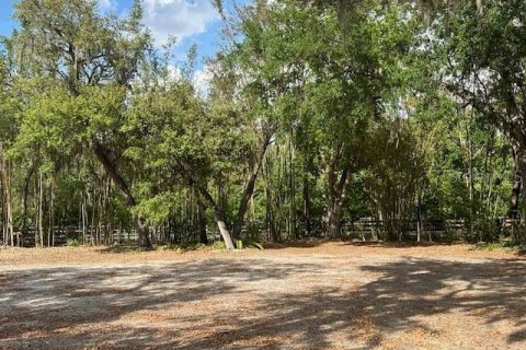 Land in Winter Haven, Florida № 1722739 - photo 7