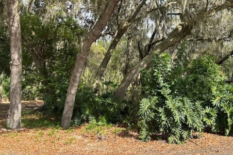 Land in Winter Haven, Florida № 1722739 - photo 5