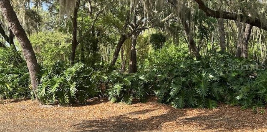 Land in Winter Haven, Florida № 1722739