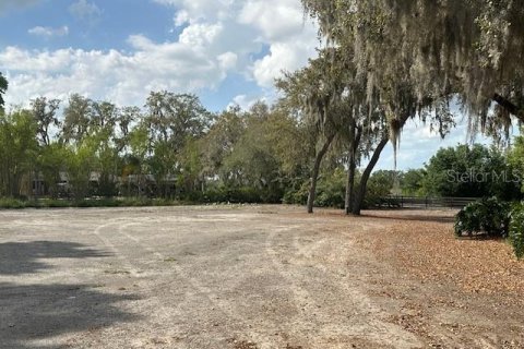 Land in Winter Haven, Florida № 1722739 - photo 2