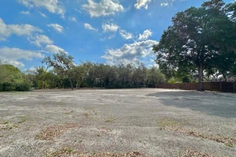 Land in Winter Haven, Florida № 1722739 - photo 8