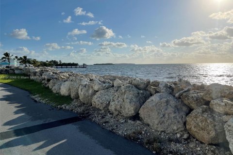 Casa en alquiler en Key Largo, Florida, 3 dormitorios, 167.6 m2 № 2013768 - foto 21