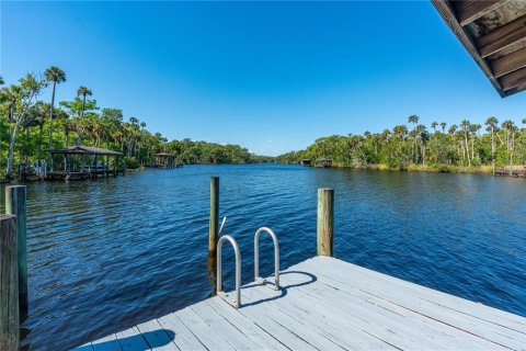 House in Ormond Beach, Florida 6 bedrooms, 679.58 sq.m. № 2099337 - photo 6