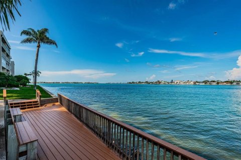 Copropriété à louer à Saint Petersburg, Floride: 2 chambres, 105.44 m2 № 2108717 - photo 22