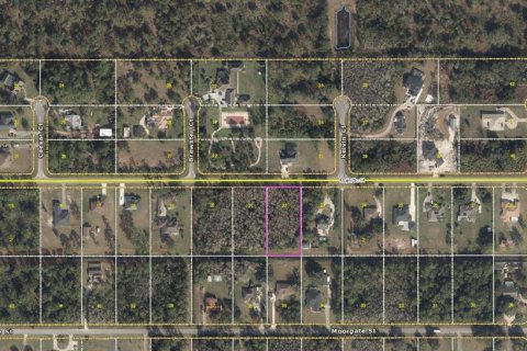 Land in Orlando, Florida № 1819424 - photo 7