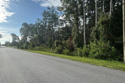 Land in Orlando, Florida № 1819424 - photo 2