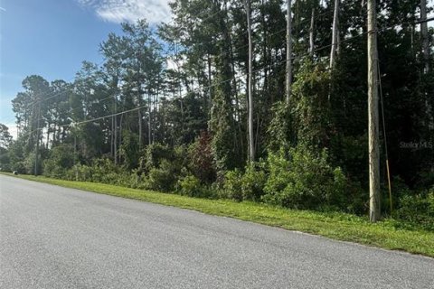 Land in Orlando, Florida № 1819424 - photo 3
