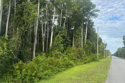 Land in Orlando, Florida № 1819424 - photo 4