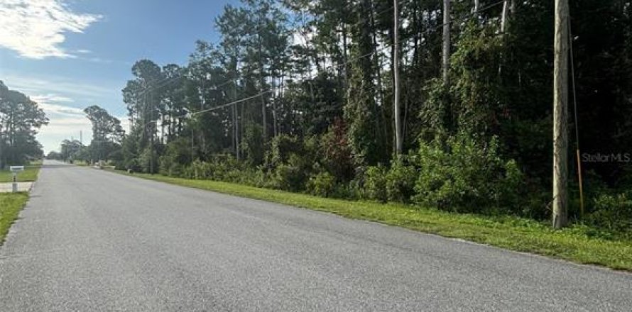 Land in Orlando, Florida № 1819424