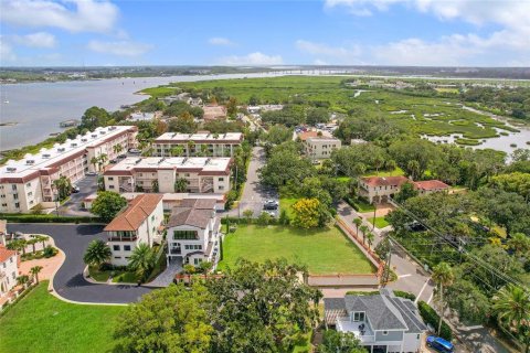Land in Saint Augustine, Florida № 2166513 - photo 5