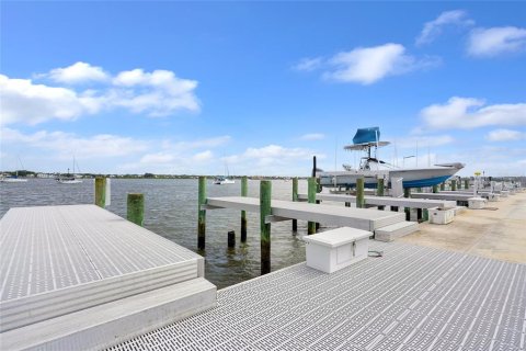 Land in Saint Augustine, Florida № 2166513 - photo 25