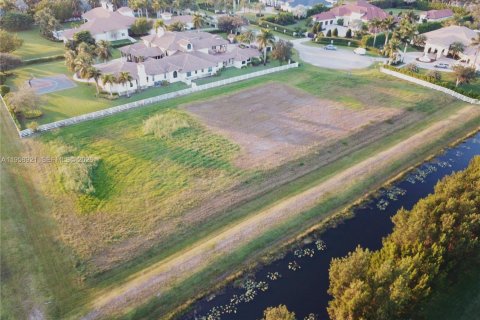 Land in Southwest Ranches, Florida № 2017595 - photo 3