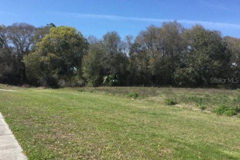 Land in Tampa, Florida № 214268 - photo 1
