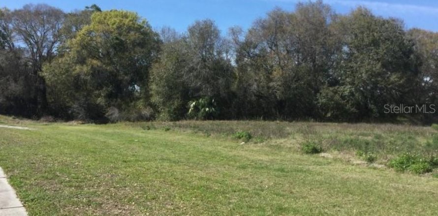 Land in Tampa, Florida № 214268