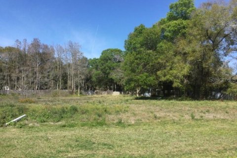 Land in Tampa, Florida № 214268 - photo 3
