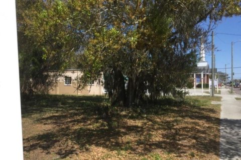 Land in Tampa, Florida № 214268 - photo 4