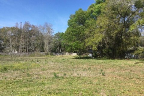 Land in Tampa, Florida № 214268 - photo 2