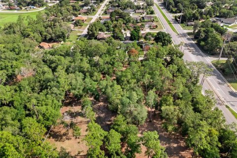 Terreno en venta en Deltona, Florida № 1780829 - foto 7