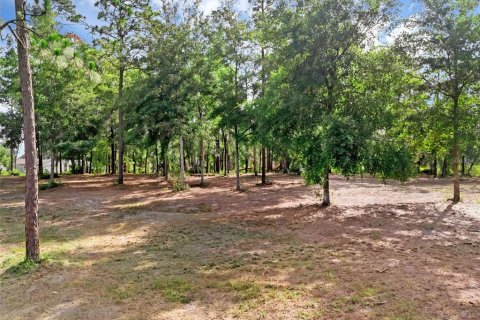 Terreno en venta en Deltona, Florida № 1780829 - foto 17
