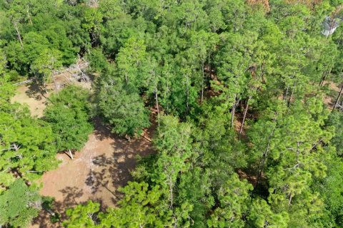 Terreno en venta en Deltona, Florida № 1780829 - foto 13