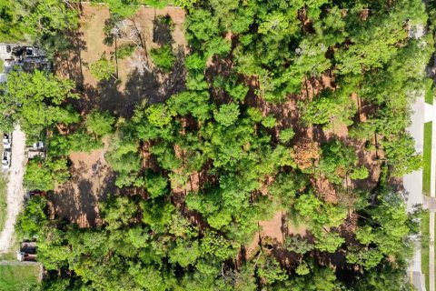 Terreno en venta en Deltona, Florida № 1780829 - foto 14