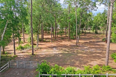 Terreno en venta en Deltona, Florida № 1780829 - foto 22