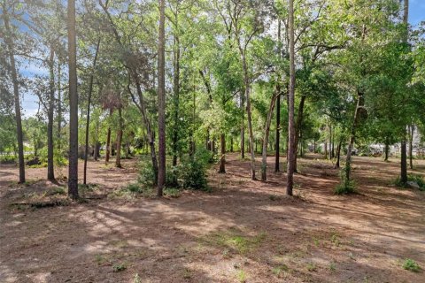 Terreno en venta en Deltona, Florida № 1780829 - foto 19