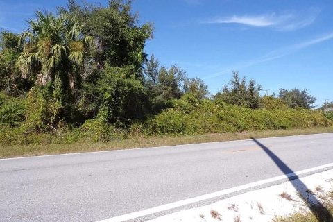 Land in Punta Gorda, Florida № 2164246