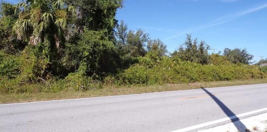 Land in Punta Gorda, Florida № 2164246