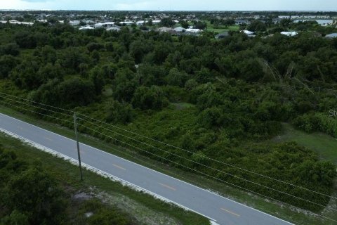 Land in Punta Gorda, Florida № 2164246 - photo 5
