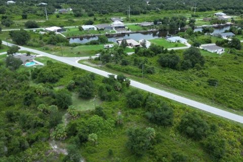 Land in Punta Gorda, Florida № 2164246 - photo 2