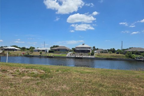 Land in Punta Gorda, Florida № 2164246 - photo 10