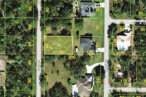 Land in Port Charlotte, Florida № 2206616 - photo 2