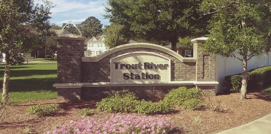 Trout River Station in Jacksonville, Florida № 514271