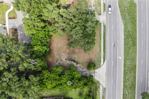 Land in Sanford, Florida № 2217976 - photo 15