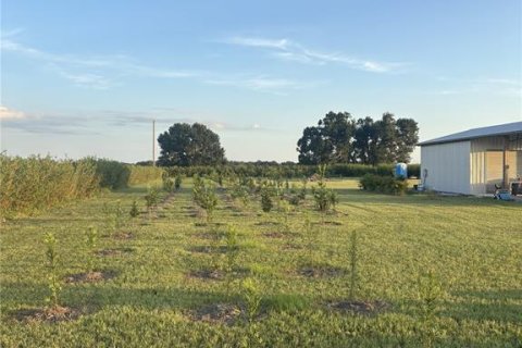 Land in Zolfo Springs, Florida № 1857798 - photo 12