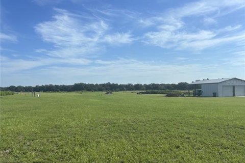 Land in Zolfo Springs, Florida № 1857798 - photo 10
