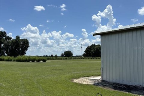 Land in Zolfo Springs, Florida № 1857798 - photo 8