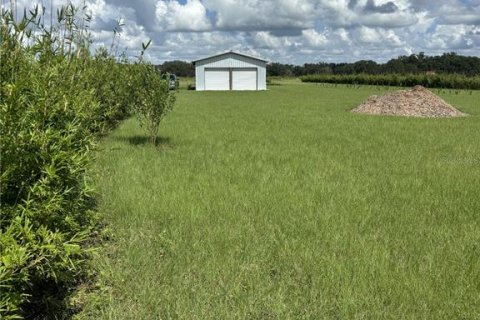 Land in Zolfo Springs, Florida № 1857798 - photo 2