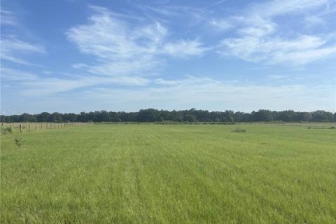 Land in Zolfo Springs, Florida № 1857798 - photo 11