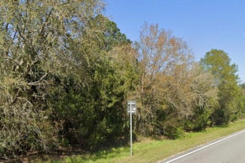 Land in Bunnell, Florida № 1831681 - photo 1