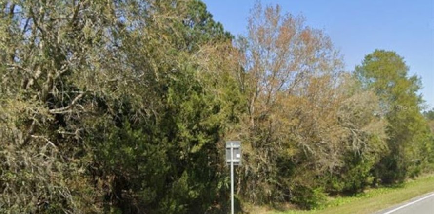 Land in Bunnell, Florida № 1831681