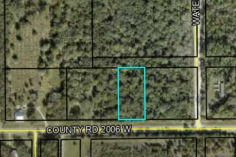 Land in Bunnell, Florida № 1831681 - photo 2
