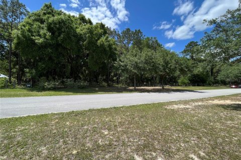 Terreno en venta en Groveland, Florida № 1578672 - foto 3