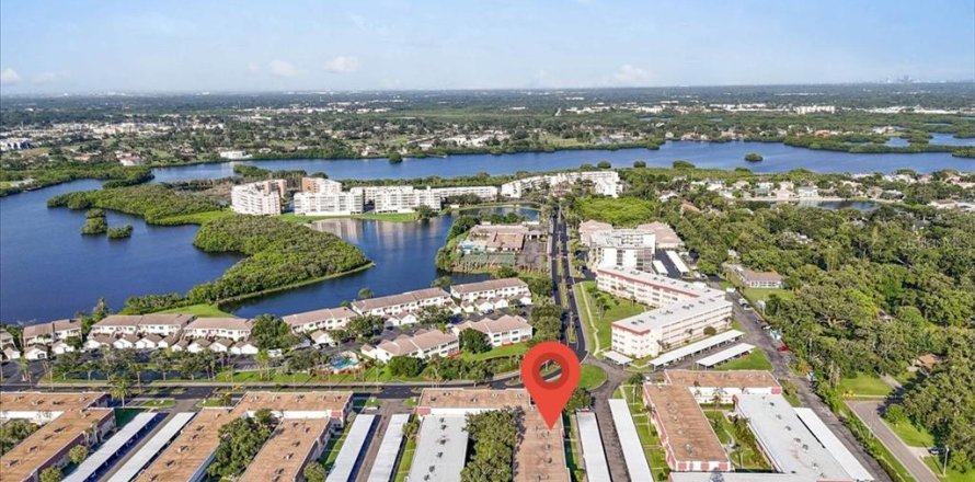 Condo in Saint Petersburg, Florida, 1 bedroom  № 1843171