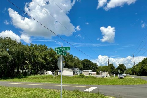 Land in Intercession City, Florida № 1799753 - photo 3
