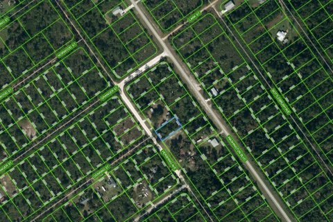 Land in Lake Placid, Florida № 2224166