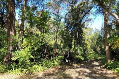 Terrain à vendre à DeLand, Floride № 2104415 - photo 6