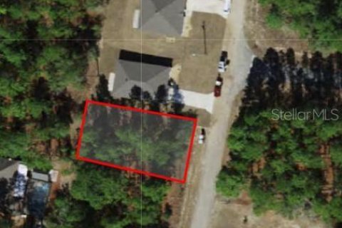 Land in Citrus Springs, Florida № 2226972